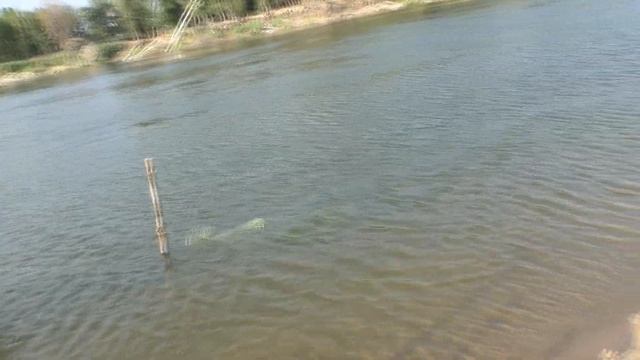 РЫБАЛКА НА САЗАНА СВЕЖЕЕ ВИДЕО 2019, СОЛЕНОЕ ЗАЙМИЩЕ, КАРПФИШИНГ В АВГУСТЕ НА НИЖНЕЙ ВОЛГЕ смотреть онлайн