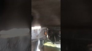 Шевроле Круз. 1.6 мех. Масленное голодание.