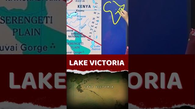 Lake Victoria in danger ⚡⚡ #ashirwadsir #lakevictoria #kenya #tanzania #uganda #africa