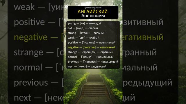 Самые распространенные слова в английском языке | Английский в словах и фразах