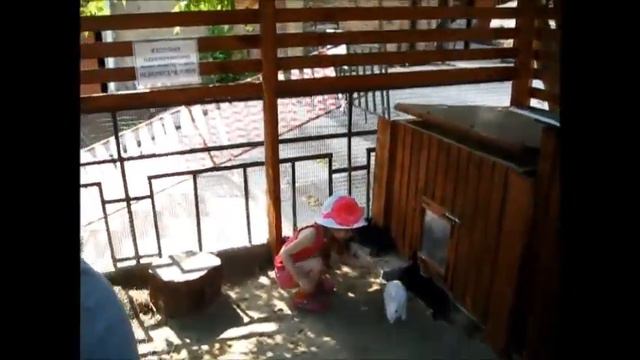 Ека Инь-Ян в ЕкаЗОО - 2 смотреть онлайн