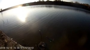Рыбалка в октябре на реке Цимла