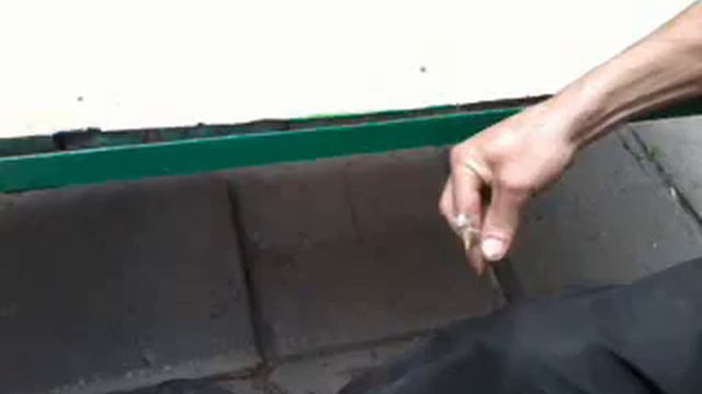 Саранча в Саратове