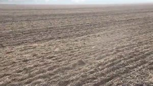 Salford RTS I 2150 осень 2015 вертикальная почвообработка в засуху