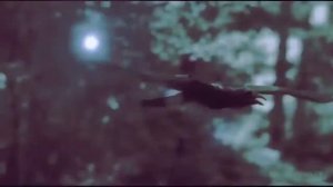 АВЕ-ГЕКАТА-ТРИВИЯ--ДЛЯ-ПРАКТИКОВ--ИНГА ХОСРОЕВА