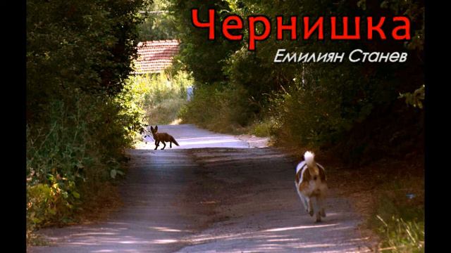 Чернишка - Емилиян Станев - част 15 от 22 Аудио книга на български