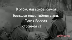 Владимир Мединский, цитата из книги «Война. Мифы СССР 1939-1945»