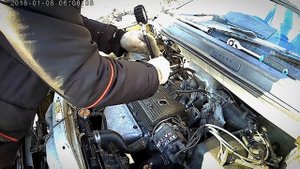 Оживление спасио