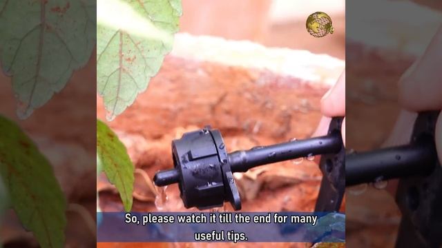 TIPS & TRICKS: DRIP IRRIGATION SYSTEM INSTALLATION FOR HOME GARDEN смотреть онлайн