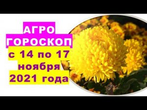 Агрогороскоп с 14 по 17 ноября 2021 года