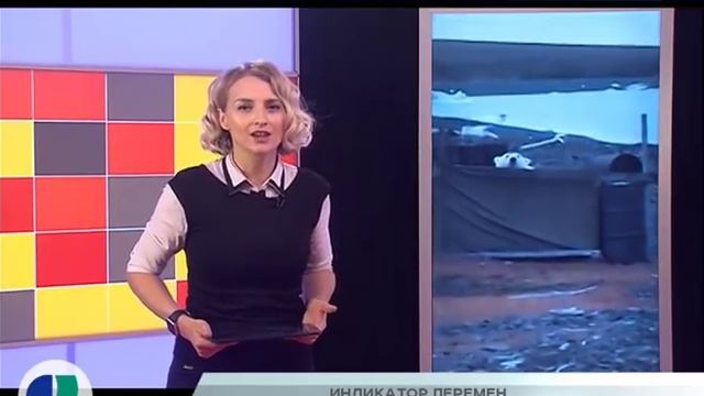 МЕДВЕЖЬЯ УСЛУГА. ИНДИКАТОР КЛИМАТА. МОЛОЧНЫЕ ИНВЕСТИЦИИ. Новости Северного города. 07.08.18 смотреть онлайн