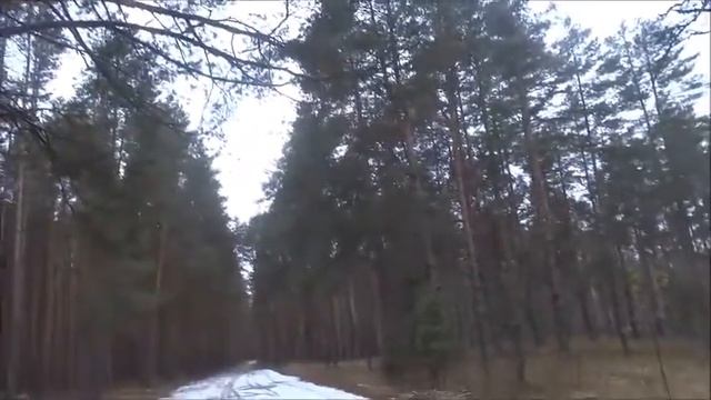 Читаем Цветаеву. Диана Кириченко - Истринский профессиональный колледж смотреть онлайн