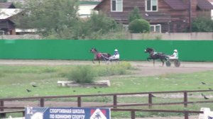 26.08.2023г.Абакан  Групповой заезд для лошадей 2-х лет Орловской Рысистой породы 1600м