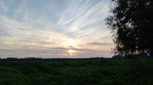 Закат в поле. Стоковое видео. Футаж. / Sunset in the field. Stock video. Footage.