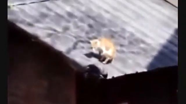 ViewSonic VT2755LED 27-Inch 1080p 60Hz Professional Monitor смотреть онлайн