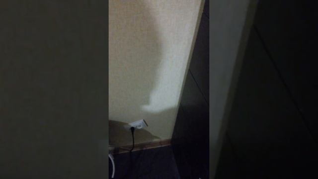 Щипцы с али экспрес не работают смотреть онлайн