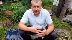 Продажа чеснока молодым, плюсы и минусы. Подготовка к продаже.