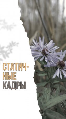 Статичные кадры