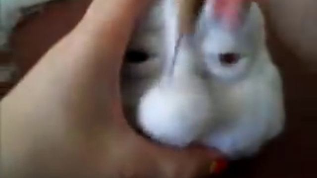 Урок по изготовлению лица куклы