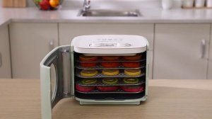 Сушилка для фруктов и овощей BioloMix 5