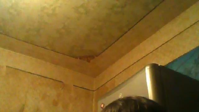 Видео с веб-камеры. Дата: 14 января 2014 г., 20:40. смотреть онлайн