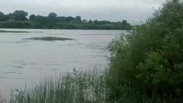 Лучшая лодка Swimmer 370 под Эвинруд 6 на воде смотреть онлайн