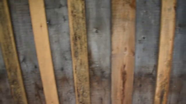 DSC 6008.mp4 смотреть онлайн