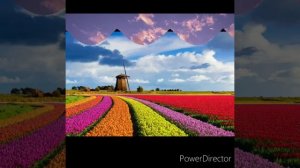 Фридрек Шопен  " Вальс цветов "