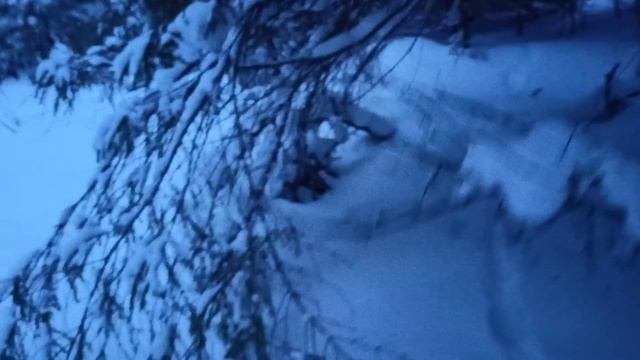 Охота на волка флажками.В окладе три волка.И такое бывает. смотреть онлайн