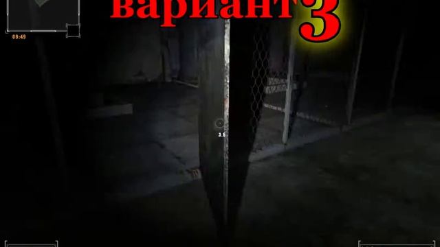 STALKER ФОТОГРАФ Самописец для Воронина все места.