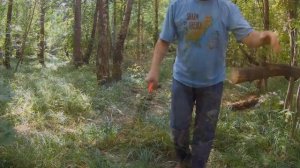 Сучкорез, ножницы для изгороди, нож Fiskars и пила Samurai - садовые инструменты для удовольствия!