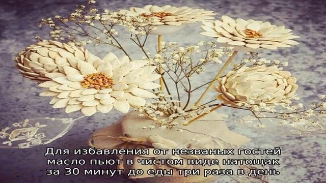 Как применять тыквенное масло от глистов и насколько это эффективно: лечение паразитов популярным .