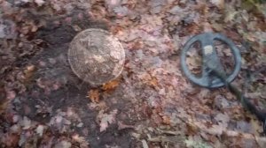 коп потеряшек в лесу Старого Оскола 09.12.2021 г.