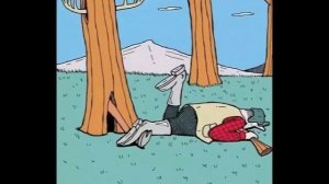 Весёлые картинки и карикатуры про охоту и рыбалку часть 3