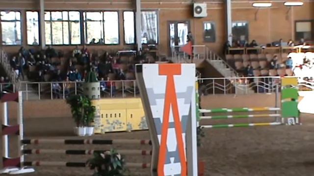 Восторг 3 место по молодым лошадям! Лошадь продается смотреть онлайн