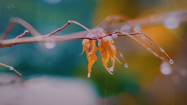 В Присутствии Бога • Атмосферная Музыка • Музыка Без Слов смотреть онлайн