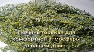 Полынь от нежелательных гостей, для создания уютной и комфортной жизни в Вашем доме.