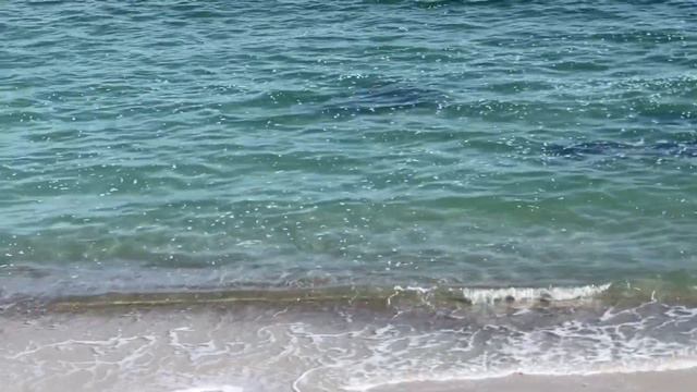 Одесса 13 марта 2022 года. На Трассе Здоровья куча людей. Сыр с плесенью - дешевле обычного) смотреть онлайн