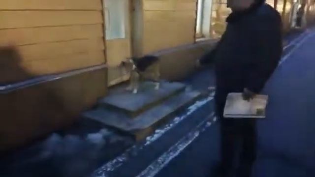 Пчёлку выписывают из клиники им А Филлмора смотреть онлайн