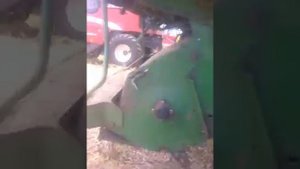 Уборка рапса комбайном ЛАВЕРДА.  Проминь