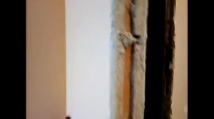 #39дверей Какими должны быть дверные проёмы #установкадверей #установкамежкомнатныхдверей