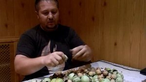 Осень 2015. Какой урожай грецкого ореха?