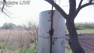 Вода для полива рассады, мотопомпой из речки