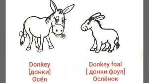 Английский для Детей и начинающих Животные и их Детёныши Домашние и дикие Животные Звуки Животных