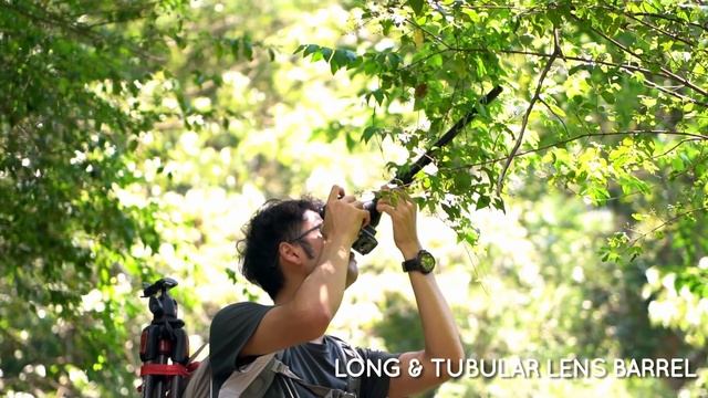 Revolutionize Macro Videography: Laowa 24mm f/14 Probe Lens смотреть онлайн