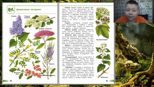 Атлас-определитель ОТ ЗЕМЛИ ДО НЕБА #24 смотреть онлайн