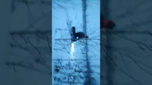 Динго  т 125.  На 500 гусенице в болото.