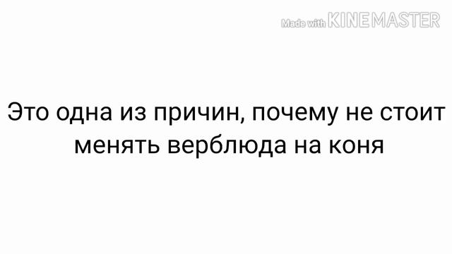Изучение исторических фигур. Часть 3 "Верблюд" #историяшахмат