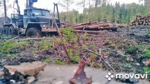 Засадили Урал! Т-150 лесовоз дергает. #УралЗастрял