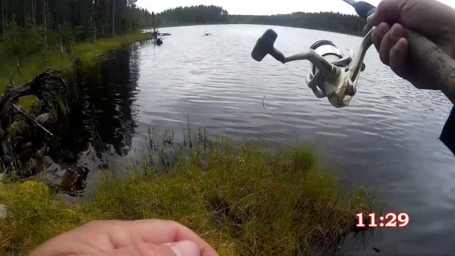 Карелия. Возвращение на старую базу. Прошло 5 лет. День первый. смотреть онлайн